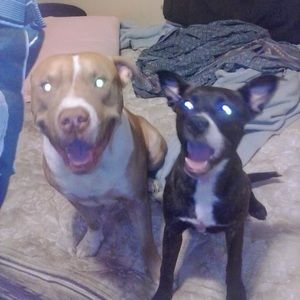 Meet your Posher, James